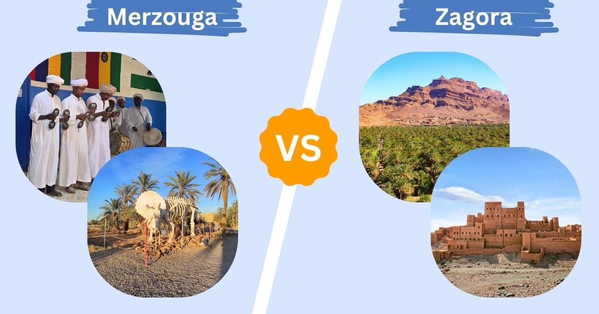 difference between merzouga and zagora