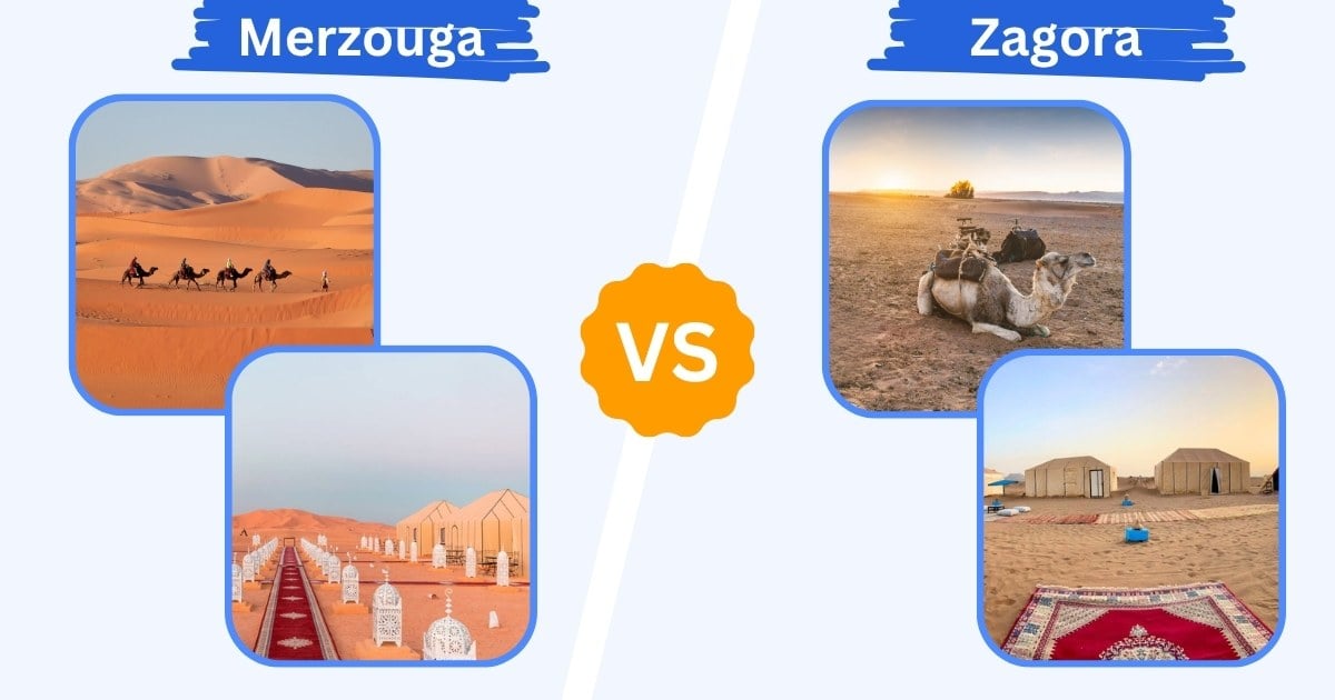 zagora and merzouga comparison