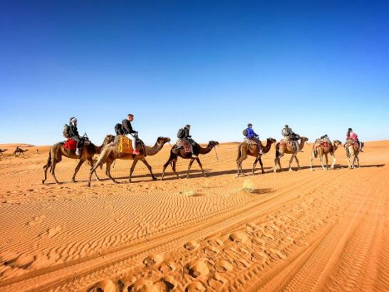 12 Days Tour from Marrakech