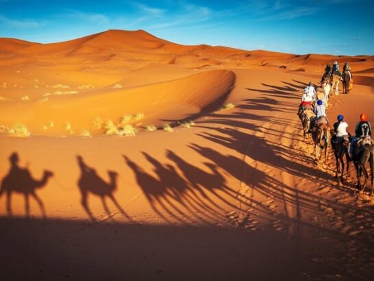 A camel caravan crossing the Erg Chebbi dunes at sunset, its long shadows on the sand