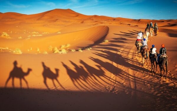 A camel caravan crossing the Erg Chebbi dunes at sunset, its long shadows on the sand