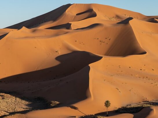 Tall orange sand dunes of Erg Chebbi in the late afternoon light