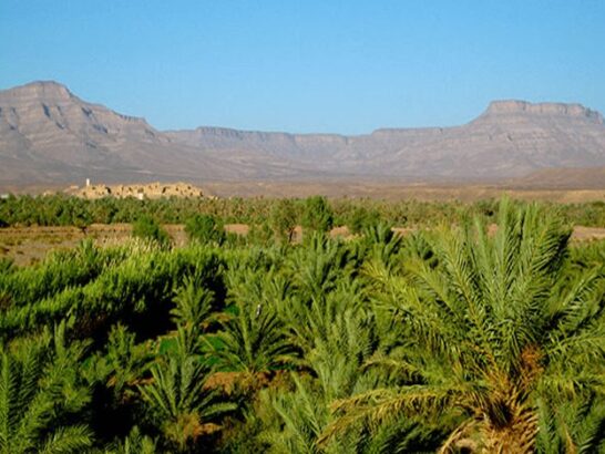 5 Days Tour From Marrakech To Merzouga