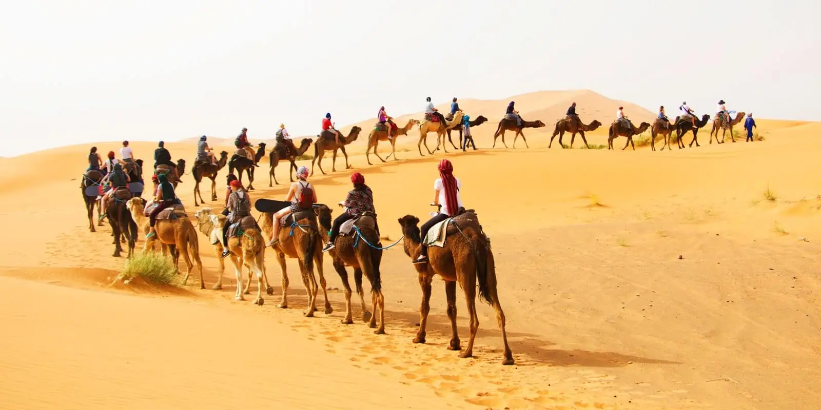 A camel caravan carrying travelers over the dunes at Erg Chebbi