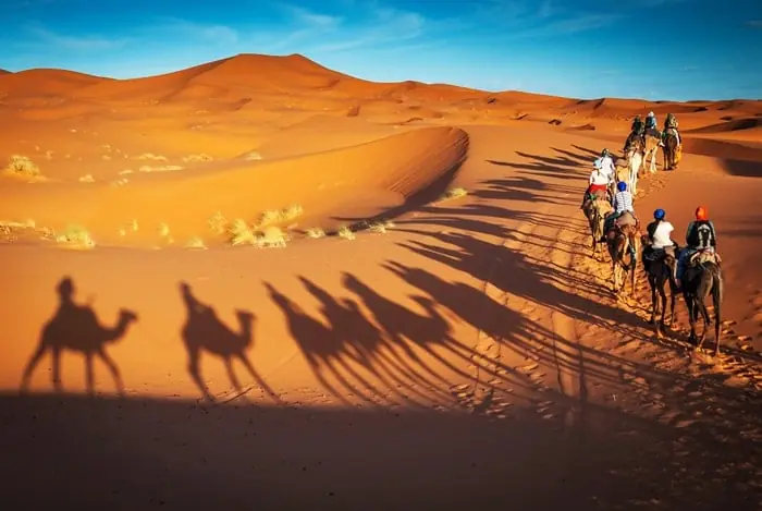 A camel caravan crossing the dunes of Erg Chebbi, casting long shadows over the sand